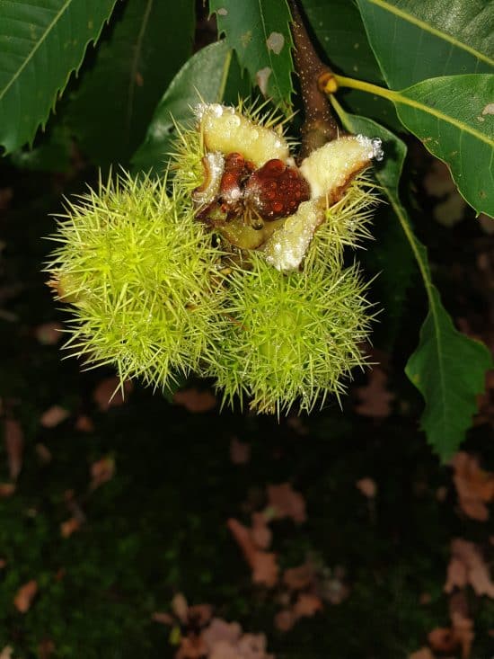 Van binnen naar buiten bewegen