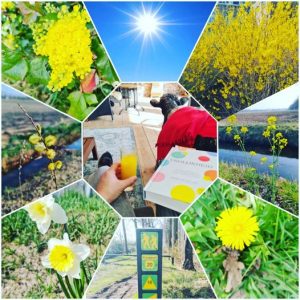 focus op vrolijkheid